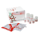 高效DNA凝胶回收试剂盒